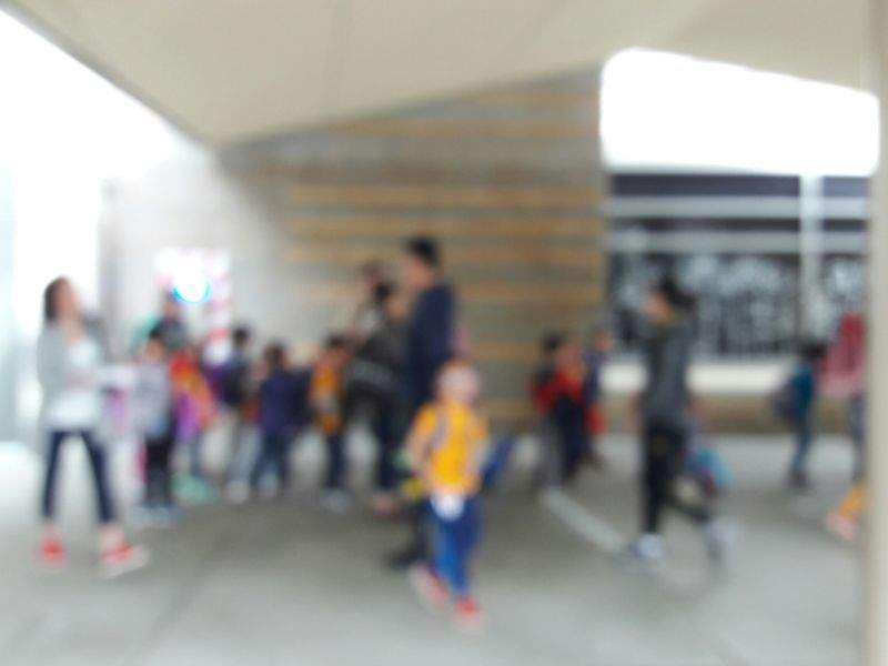 さくら学びラボ株式会社 11